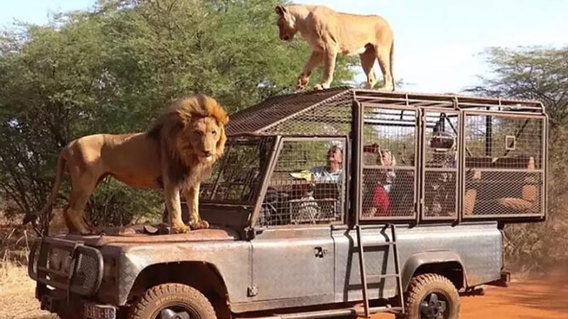 antalya safari tour
