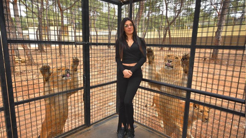 lion safari antalya