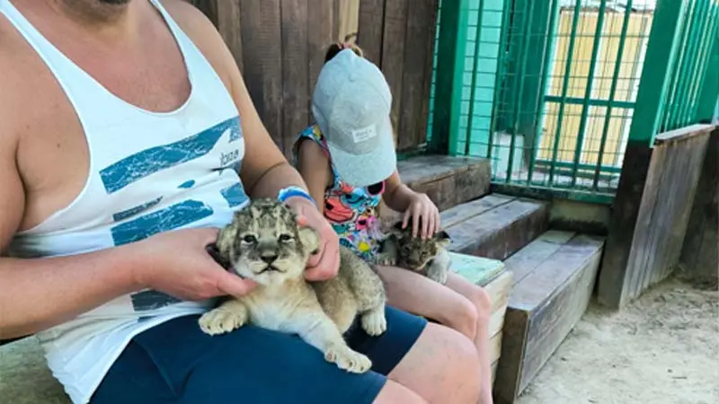 baby-lions-in-belek antalya