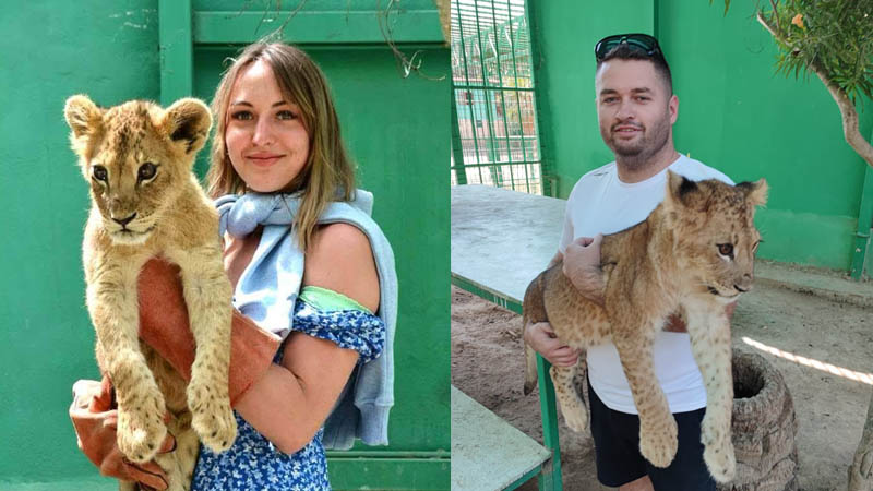 Meet with Lions in Alanya & Take a photo with lions