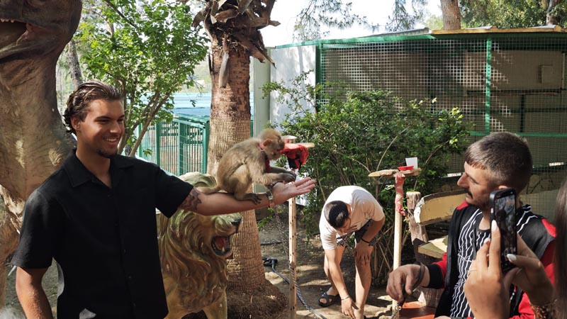 lara zoo photo monkey