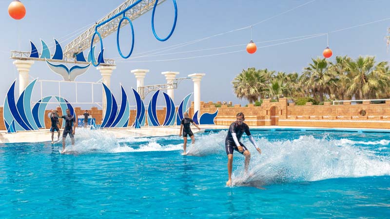 lara to sealanya dolphin park
