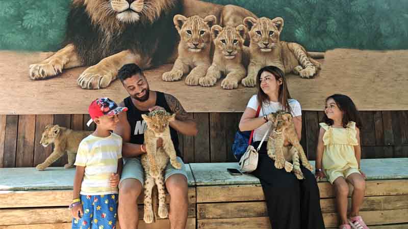 Lion Cubs Alanya Experience | Hold & Take Photos with Lion Cubs