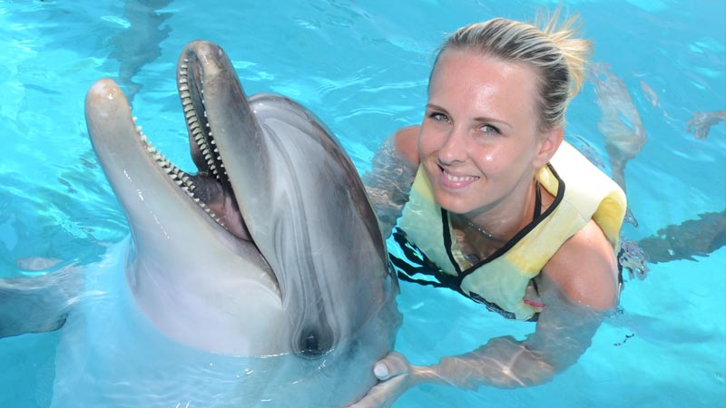 swimming with dolphins in belek recommendation
