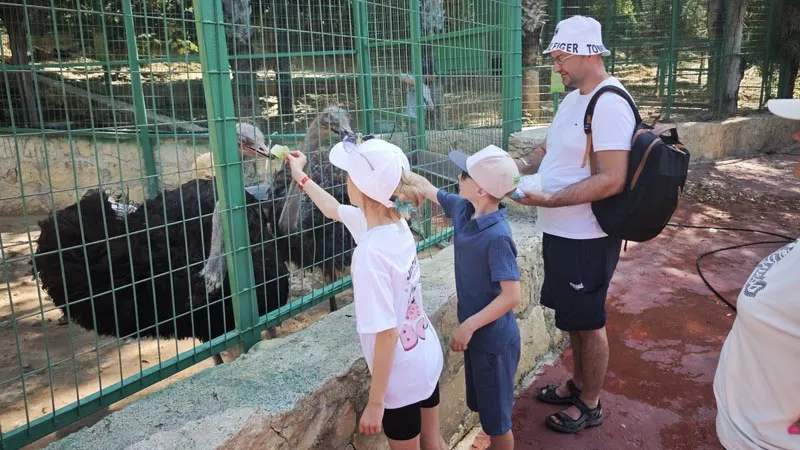 animal-feeding activity belek