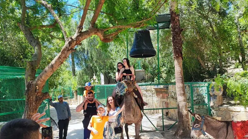 camel safari experience side