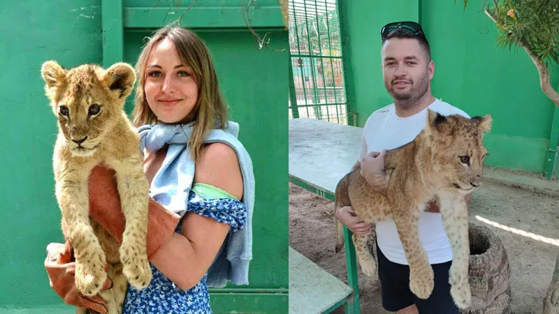photo with lions in belek