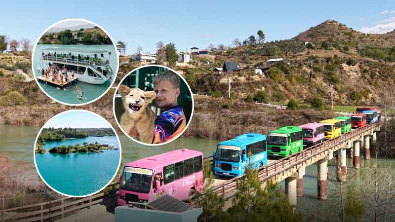Antalya Cubs and Safari: An Unforgettable Wildlife Experience